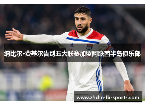 纳比尔·费基尔告别五大联赛加盟阿联酋半岛俱乐部 纳比尔·费基尔告别五大联赛加盟阿联酋半岛俱乐部