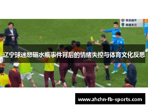 辽宁球迷怒砸水瓶事件背后的情绪失控与体育文化反思