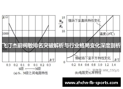 飞汀杰蔚阀敏排名突破解析与行业格局变化深度剖析 飞汀杰蔚阀敏排名突破解析与行业格局变化深度剖析