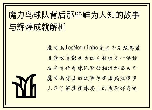 魔力鸟球队背后那些鲜为人知的故事与辉煌成就解析 魔力鸟球队背后那些鲜为人知的故事与辉煌成就解析